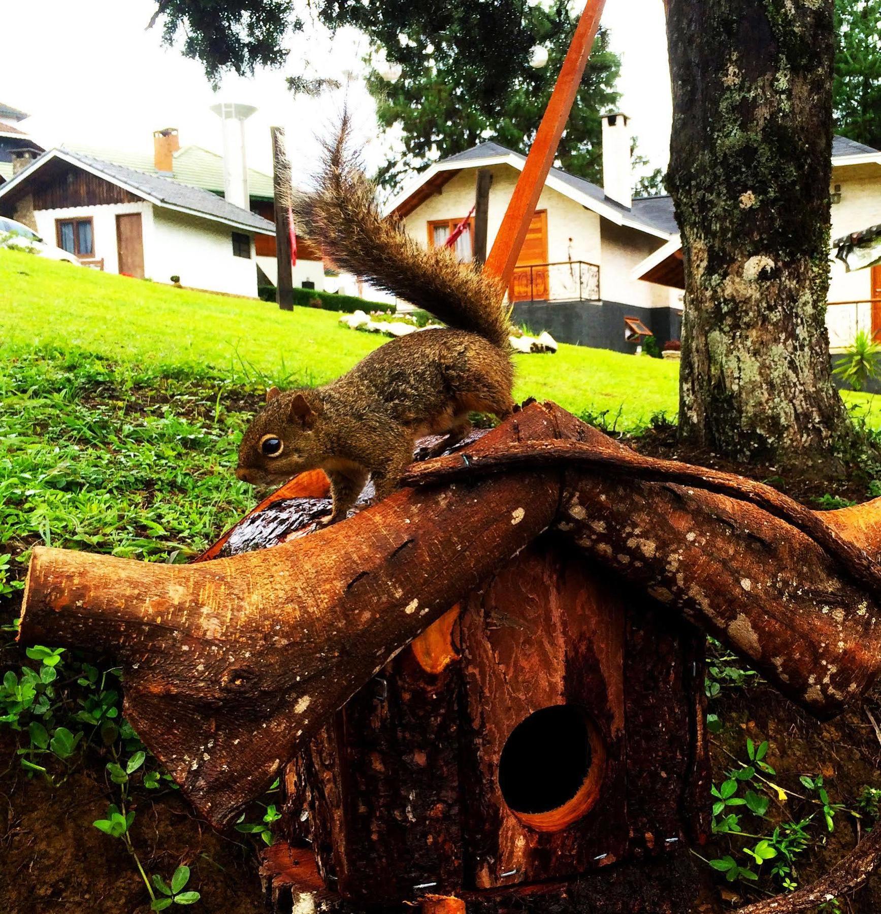 Pousada Villa Monte Verde Bagian luar foto